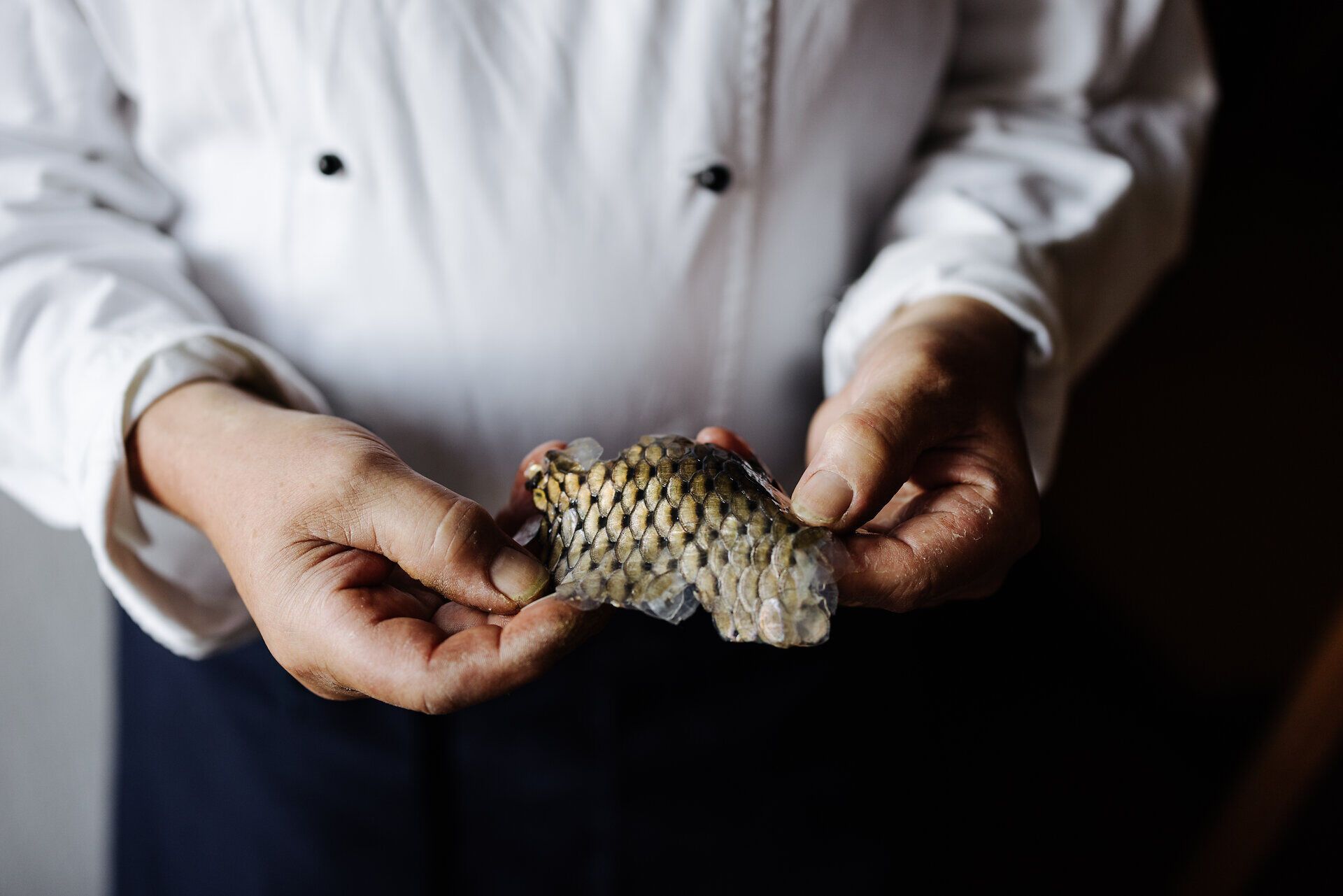 Ein erfahrener Koch präsentiert stolz einen frisch gefangenen Karpfen, dessen schimmernde Schuppen im Licht funkeln. Die Atmosphäre ist geprägt von Vorfreude und der Vorliebe für regionale Küche, während die Teilnehmer gespannt auf die Zubereitung des Fisches warten.