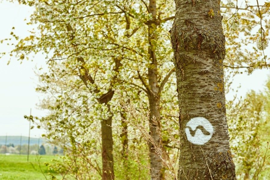Farbmarkierung entlang vom Weitwanderweg Nibelungengau