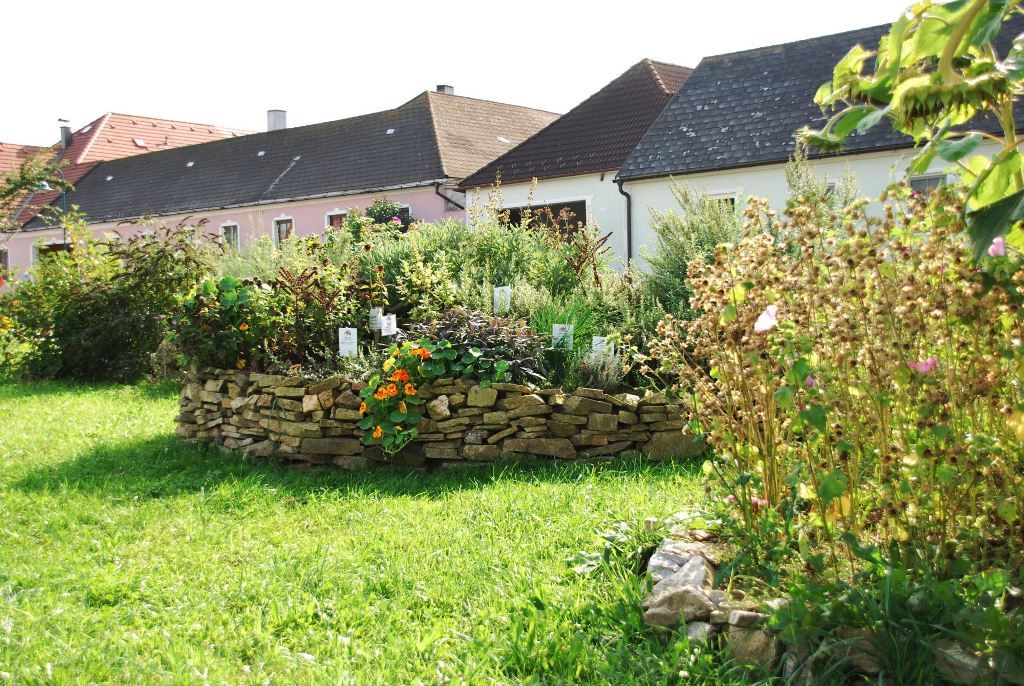 Kräuterbeet mit Steinmauer in einem Garten vor Häusern.