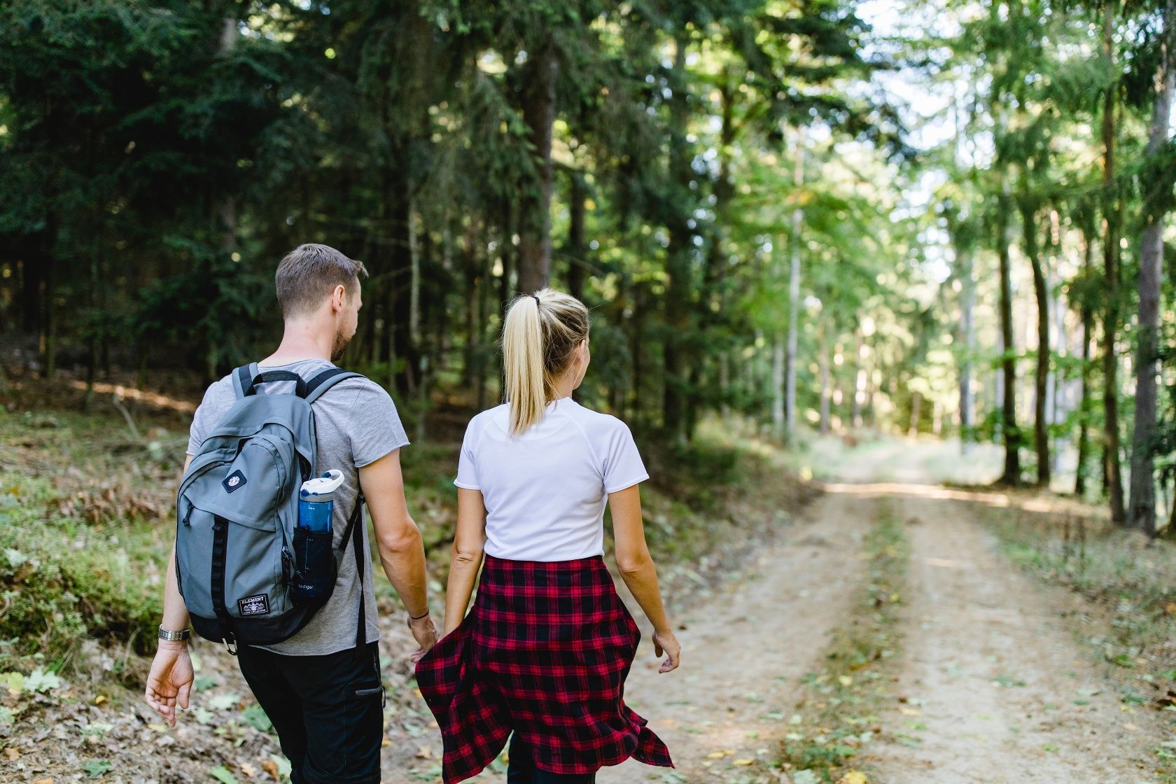 Wandern in schattigen Wäldern