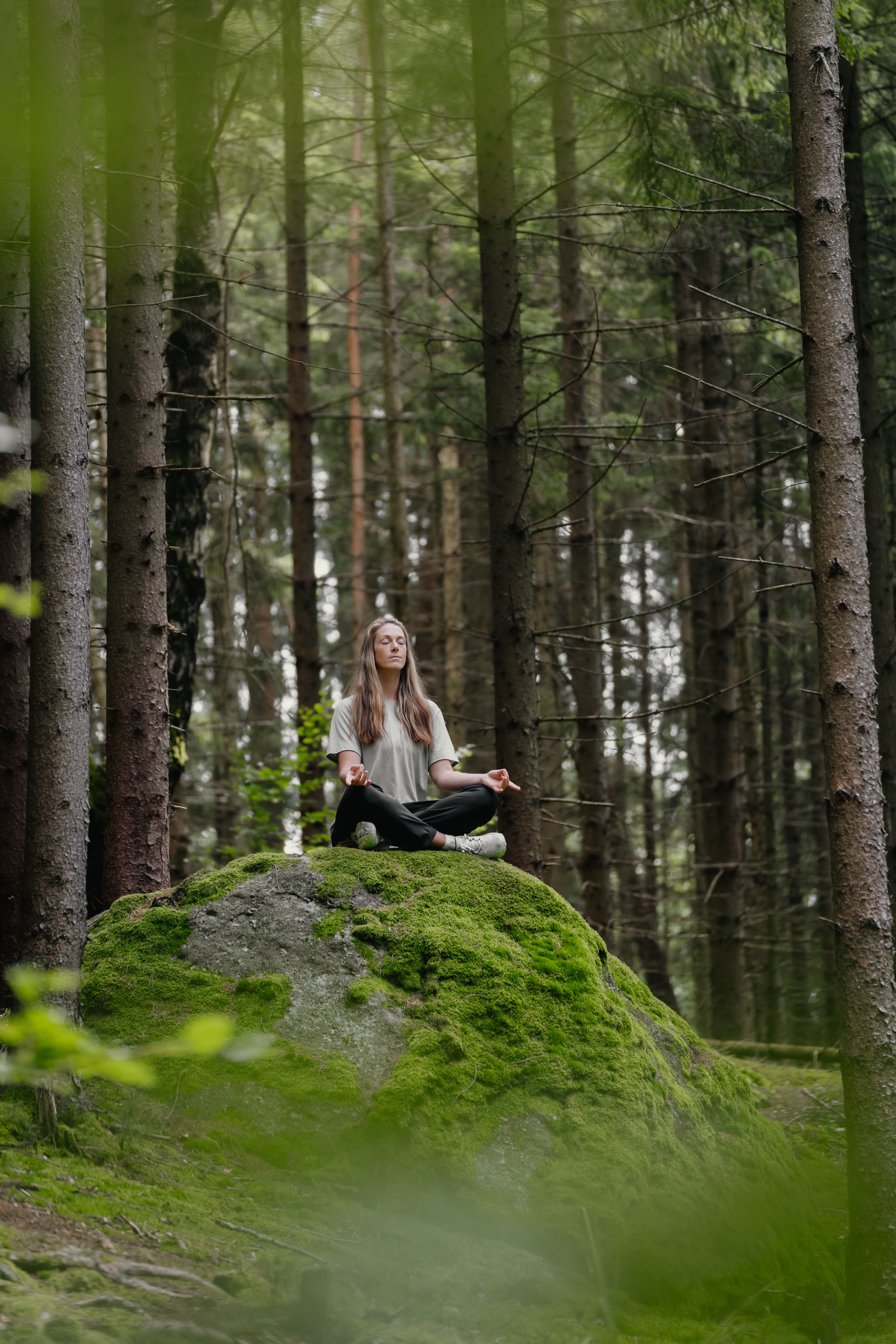 PW_Abkuehlung_Waldviertel_HighRes_09597