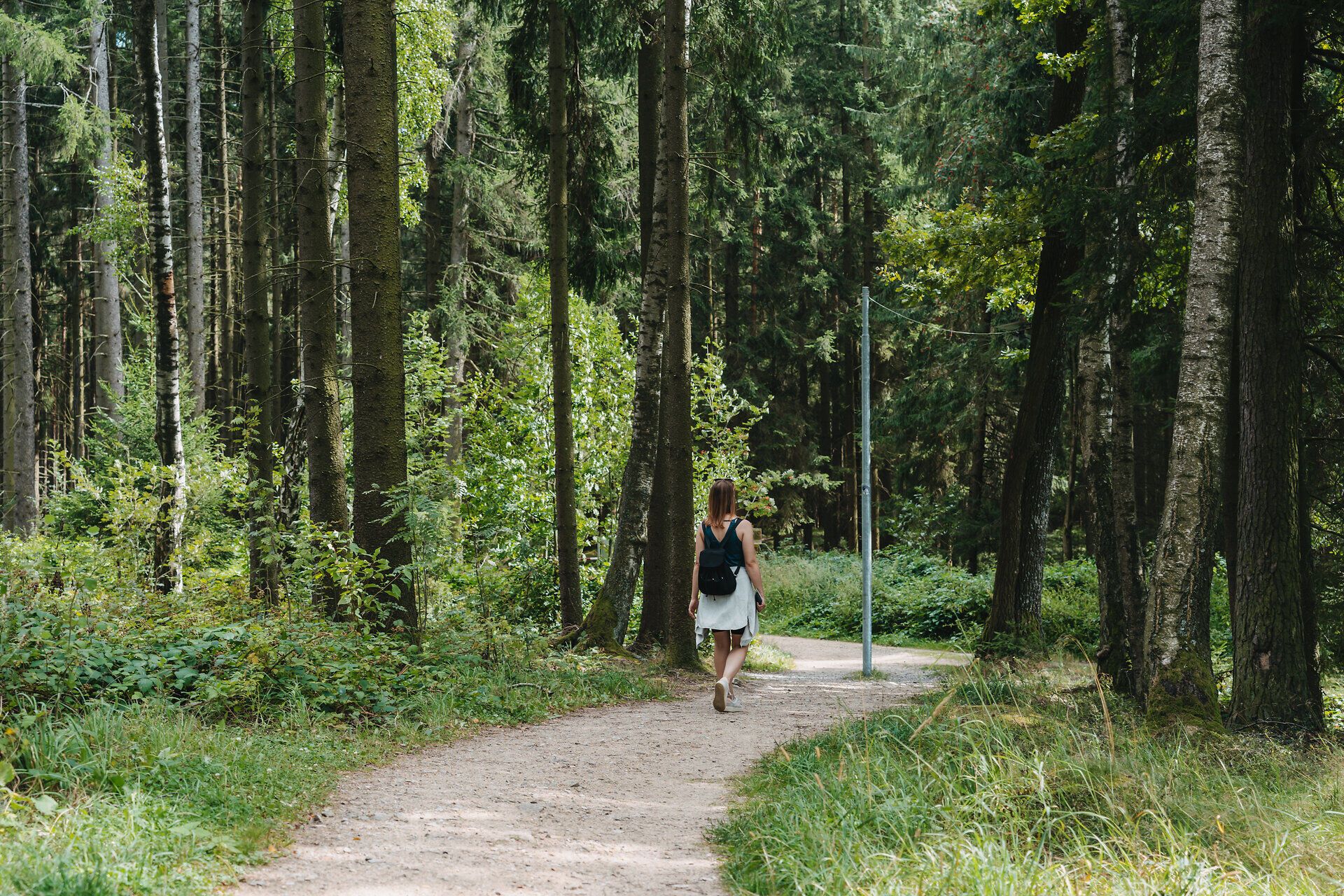 Ein sanfter Pfad schlängelt sich durch das üppige Grün des Naturparks, umgeben von hohen Bäumen und dem beruhigenden Klang der Natur. Die frische Luft und das sanfte Licht schaffen eine einladende Atmosphäre, die zum Verweilen und Entdecken einlädt.