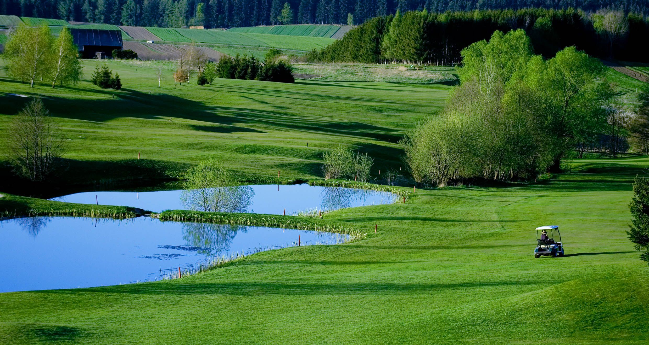 Golfplatz mit Teich und Golfwagen, umgeben von grünen Bäumen und Wiesen.