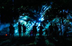 Blockheide Leuchtet