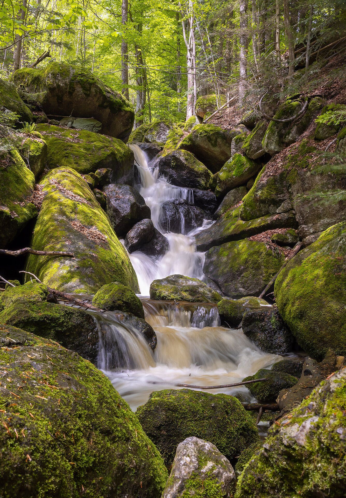 In der Ysperklamm fließt das Wasser sanft über moosbedeckte Steine und schafft eine friedliche Atmosphäre. Umgeben von üppigem Grün und hohen Bäumen, lädt dieser Ort zum Verweilen und Entspannen ein. Die frische Luft und das sanfte Plätschern des Wassers bieten eine perfekte Kulisse für Naturliebhaber.
