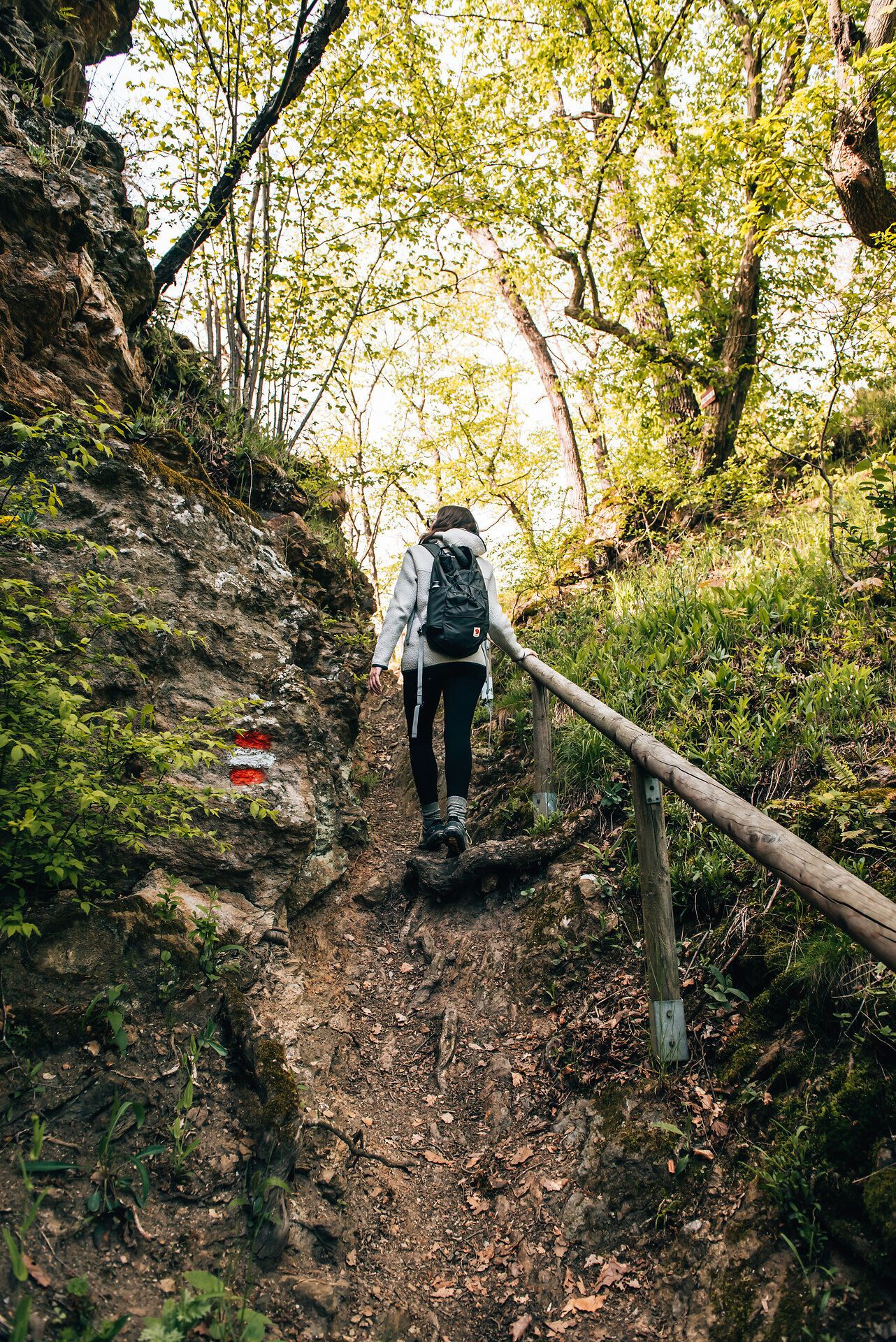 Ein malerischer Pfad schlängelt sich durch die üppige Natur, umgeben von hohen Bäumen und sanften Hügeln. Die frische Luft und das Zwitschern der Vögel laden dazu ein, die Seele baumeln zu lassen und die Schönheit der Umgebung zu genießen.