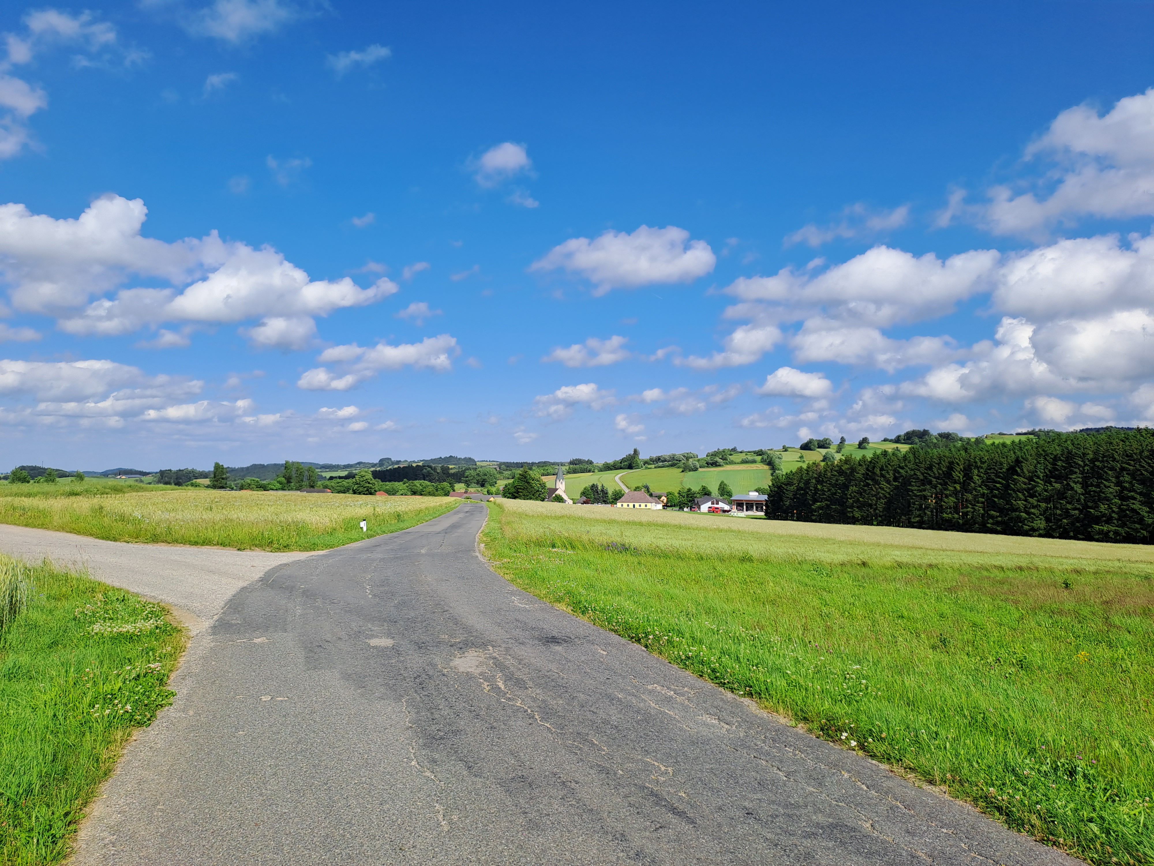 Asphaltierter Weg neben grünen Wiesen und Feldern