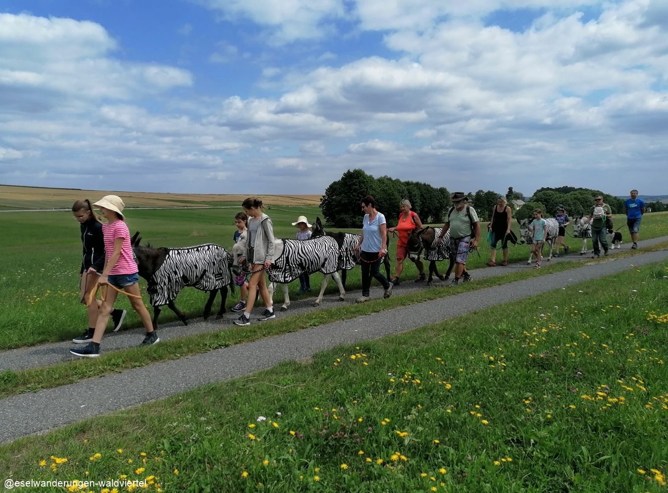 Eselwandern