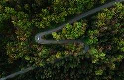 Eine kurvenreiche Straße schlängelt sich durch ein üppiges, grünes Waldgebiet, das von Sonnenstrahlen durchflutet wird. Die dichten Bäume und das sanfte Rauschen des Windes schaffen eine friedliche Atmosphäre, die zum Wandern einlädt. Hier, umgeben von der Natur, findet jeder Wanderer seinen persönlichen Rückzugsort.