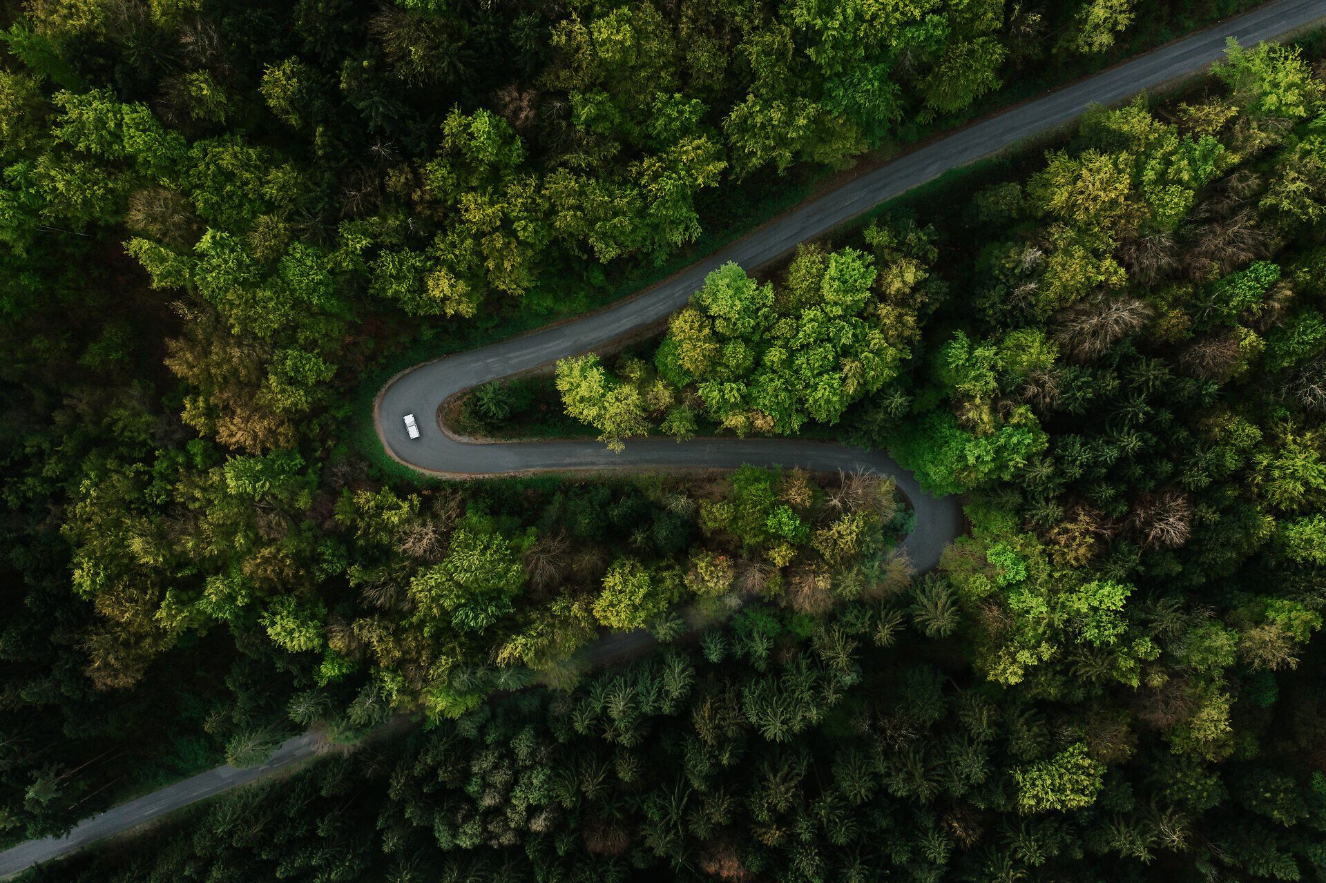 Eine kurvenreiche Straße schlängelt sich durch ein üppiges, grünes Waldgebiet, das von Sonnenstrahlen durchflutet wird. Die dichten Bäume und das sanfte Rauschen des Windes schaffen eine friedliche Atmosphäre, die zum Wandern einlädt. Hier, umgeben von der Natur, findet jeder Wanderer seinen persönlichen Rückzugsort.