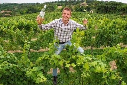 Bio Weinbau Reinthaler
