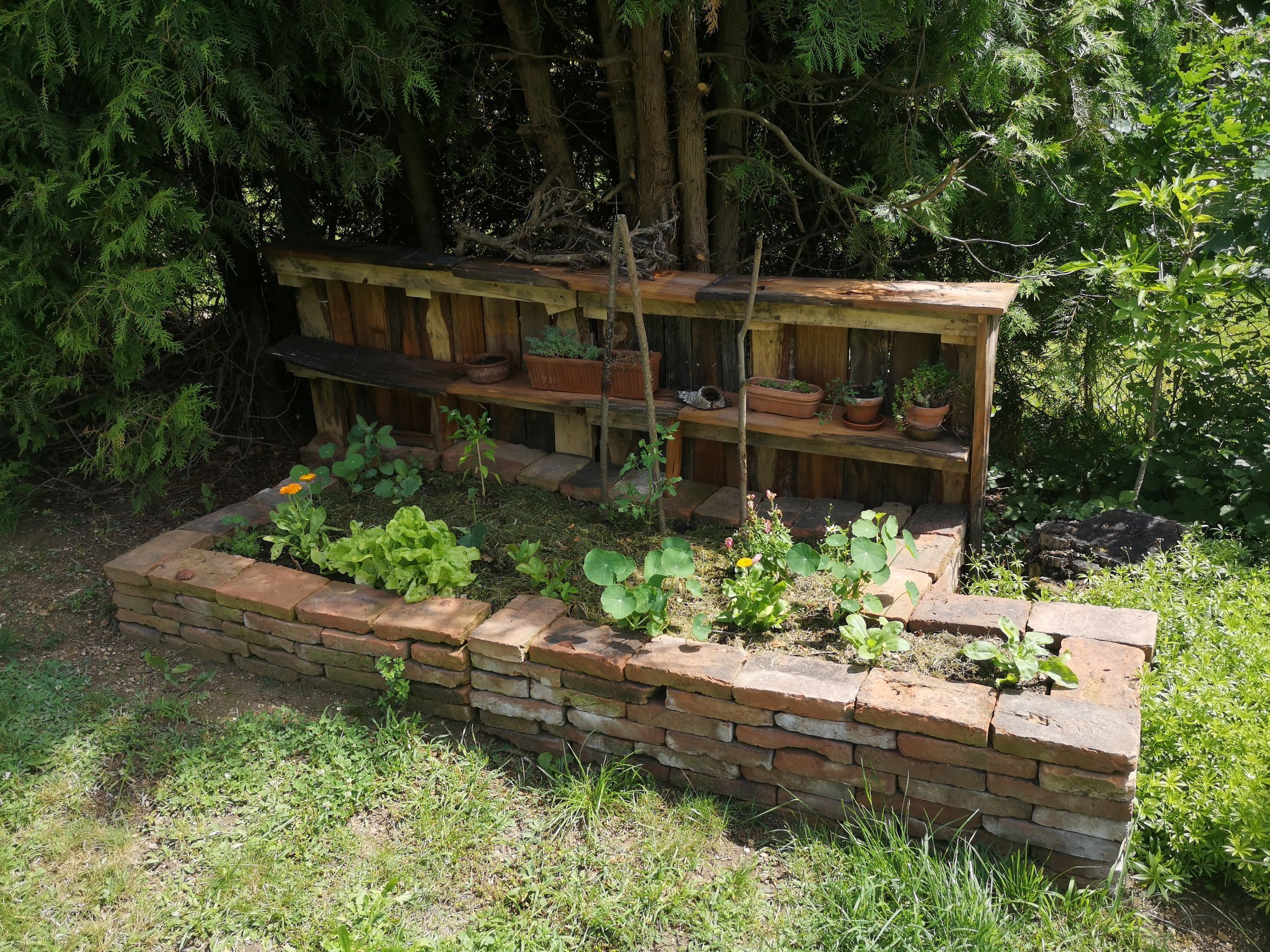 Ein Hochbeet aus Ziegelsteinen mit Pflanzen und einer Holzablage im Hintergrund, umgeben von Bäumen und Gras.