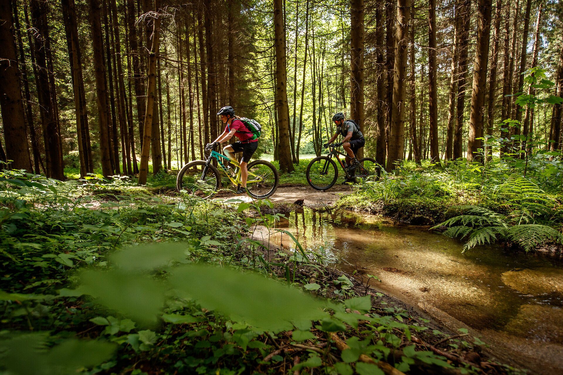 Durch die dichten Wälder und entlang plätschernder Bäche führt der Granittrail zu unvergesslichen Erlebnissen für Mountainbiker. Die frische Luft und die sanften Sonnenstrahlen schaffen eine einladende Atmosphäre, die zum Entdecken einlädt.