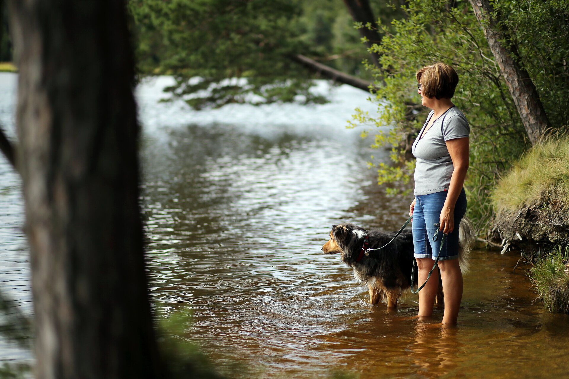 Am Ufer des Edlesberger Teichs genießen Sie die erfrischende Kühle des Wassers, während die sanften Wellen die Ruhe der Natur widerspiegeln. Ein treuer Hund steht an Ihrer Seite und beobachtet neugierig die Umgebung, während die Bäume sanft im Wind wiegen und eine friedliche Atmosphäre schaffen.