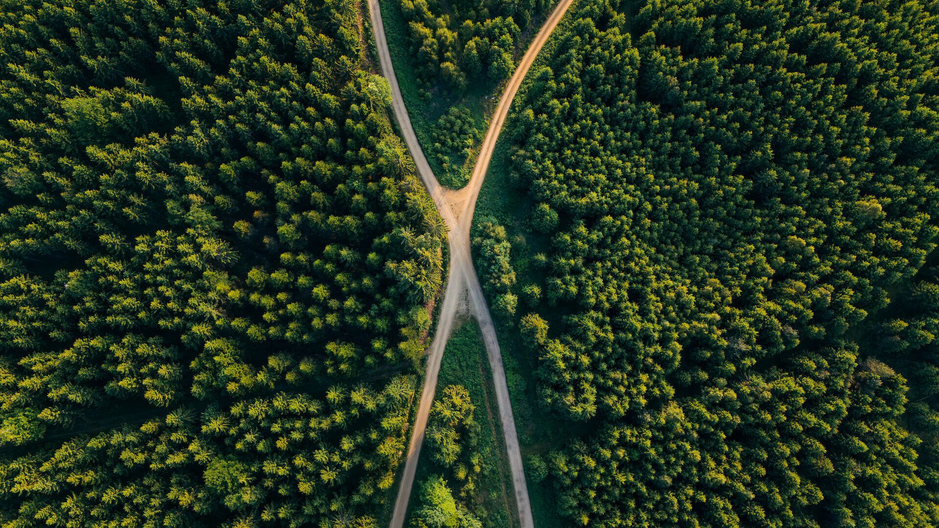 Luftaufnahme eines sich kreuzenden Waldweges, umgeben von dichtem Grün der Bäume im Waldviertel.