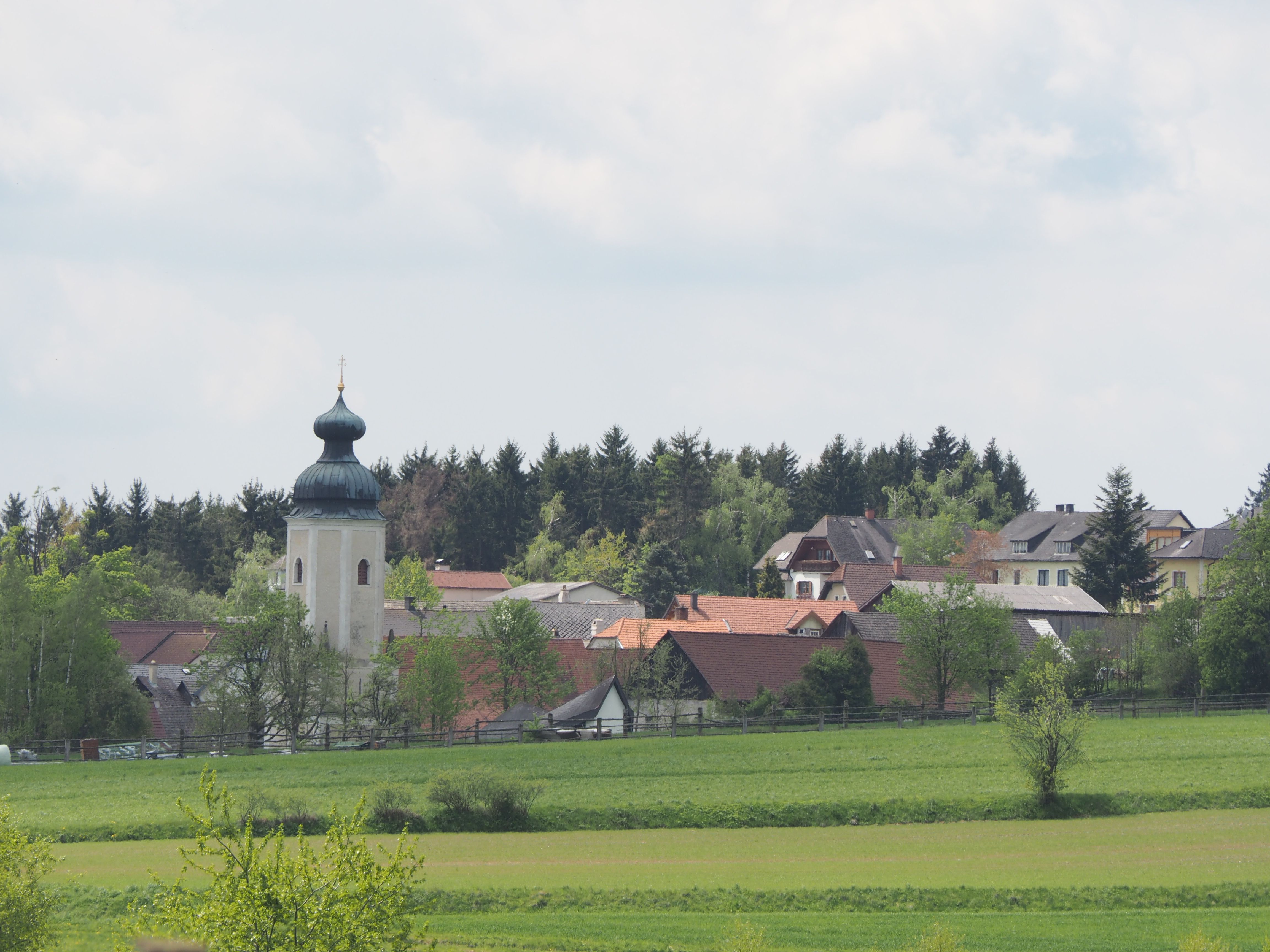 Pfarrkirche Sallingberg mit Zwiebelturm in ländlicher Umgebung.