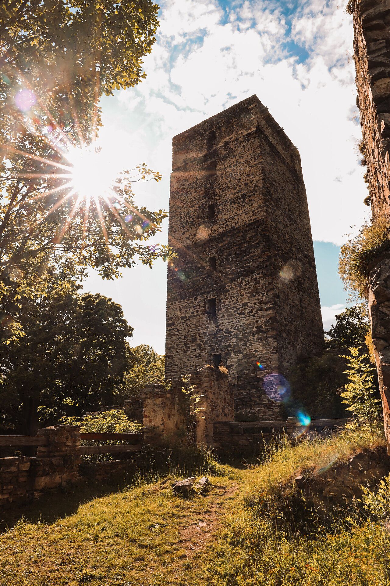 Ruine Schauenstein im Sonnenlicht mit Bäumen im Vordergrund.