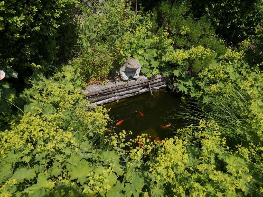 Schaugarten Hofbauer