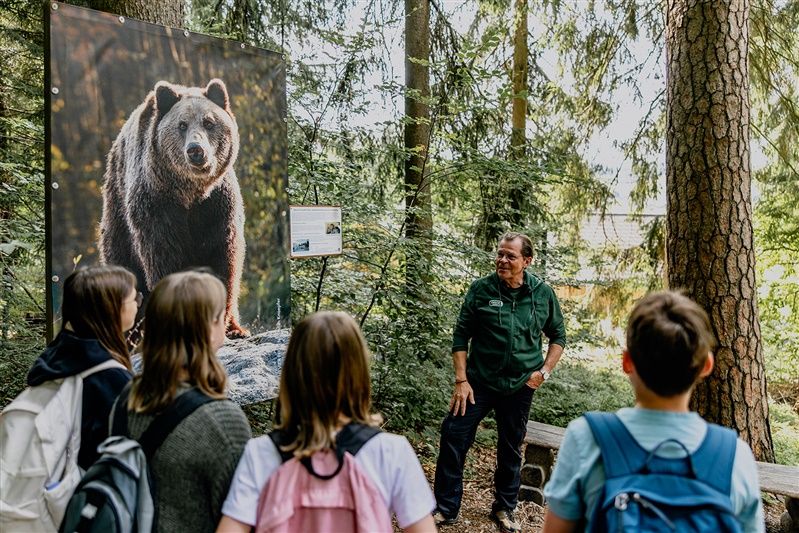 Eine Gruppe von Jugendlichen hört einem Mann im Bärenwald Arbesbach zu, der vor einem großen Bärenfoto steht.