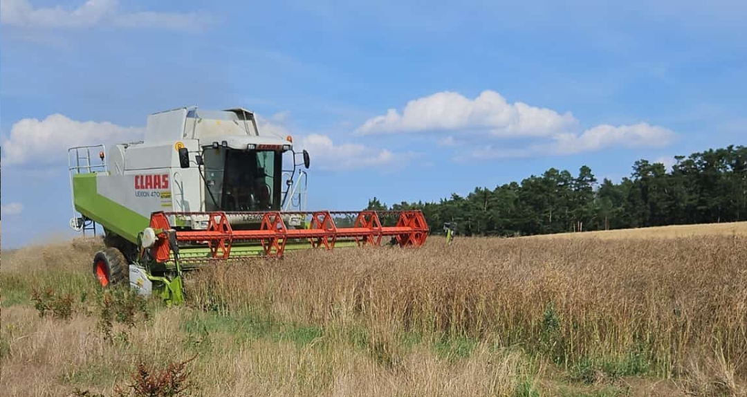 Ein Mähdrescher der Marke Claas arbeitet auf einem Feld unter blauem Himmel.