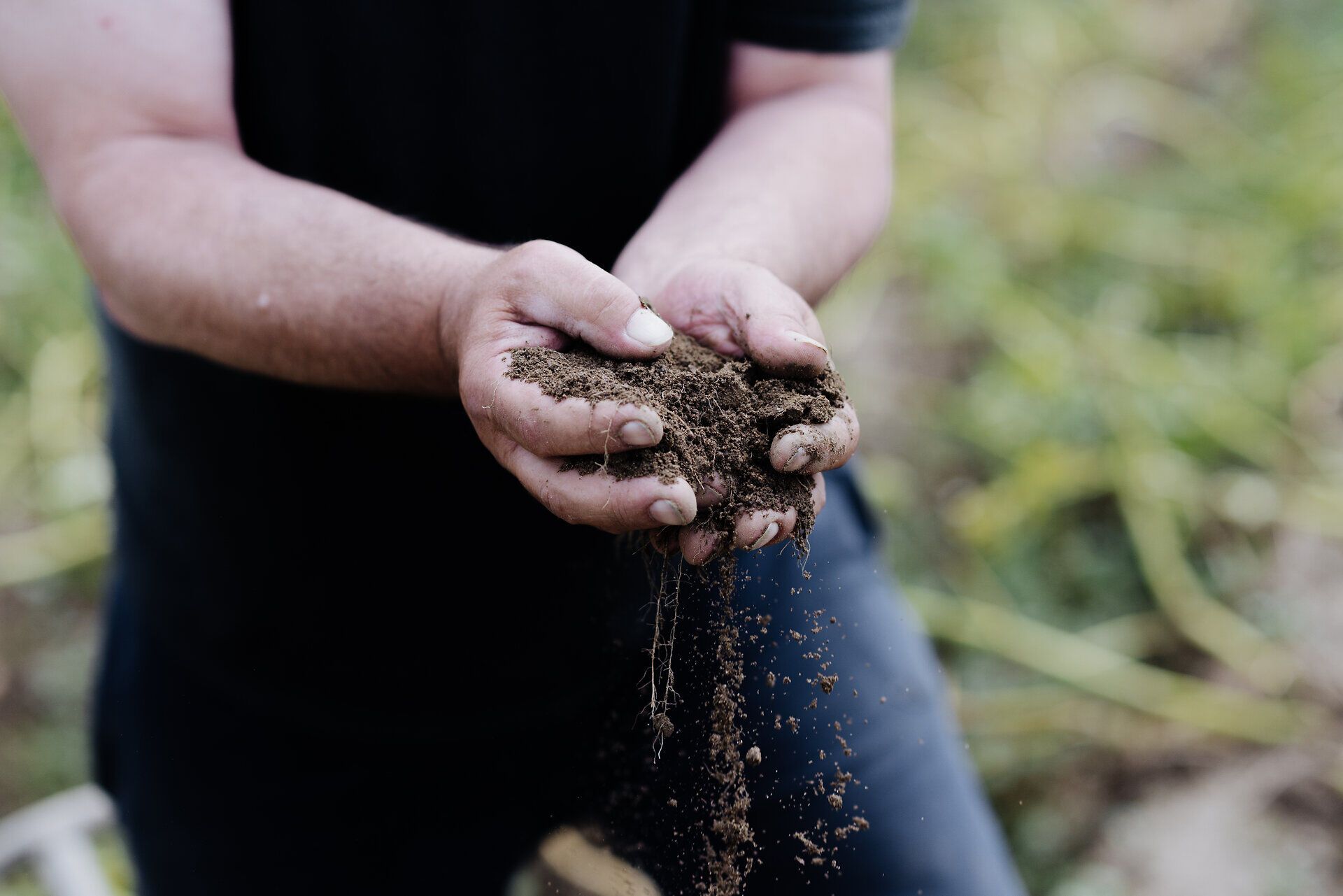 Die Erde wird behutsam zwischen den Händen gehalten, während die reiche Ernte der Kartoffeln gefeiert wird. Diese Szene vermittelt das Gefühl von Verbundenheit zur Natur und der Freude an der Erntezeit. Ein Moment, der die Schönheit und Fülle des Landlebens widerspiegelt.