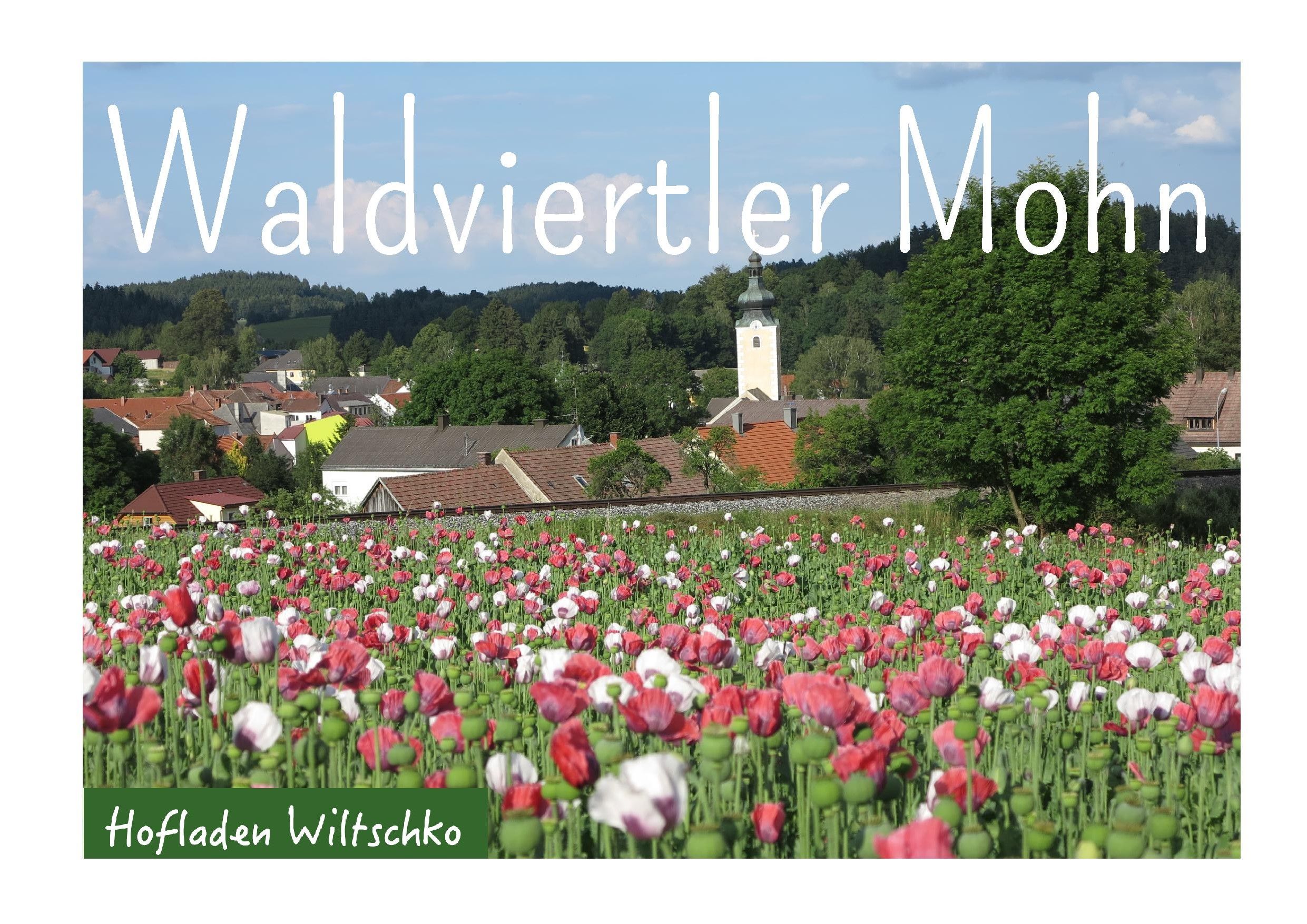 Mohn