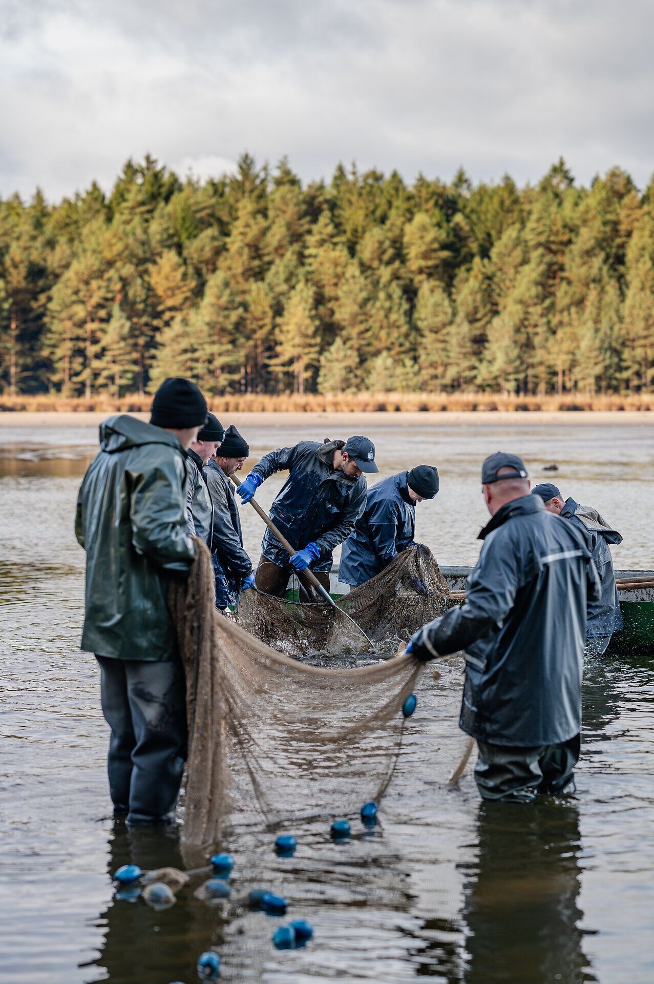 Am Ufer des Bruneiteichs versammeln sich engagierte Fischer, um die Karpfen einzufangen. Die frische Luft und das sanfte Plätschern des Wassers schaffen eine einladende Atmosphäre, die die Schönheit der Natur und die Freude am gemeinsamen Tun widerspiegelt.