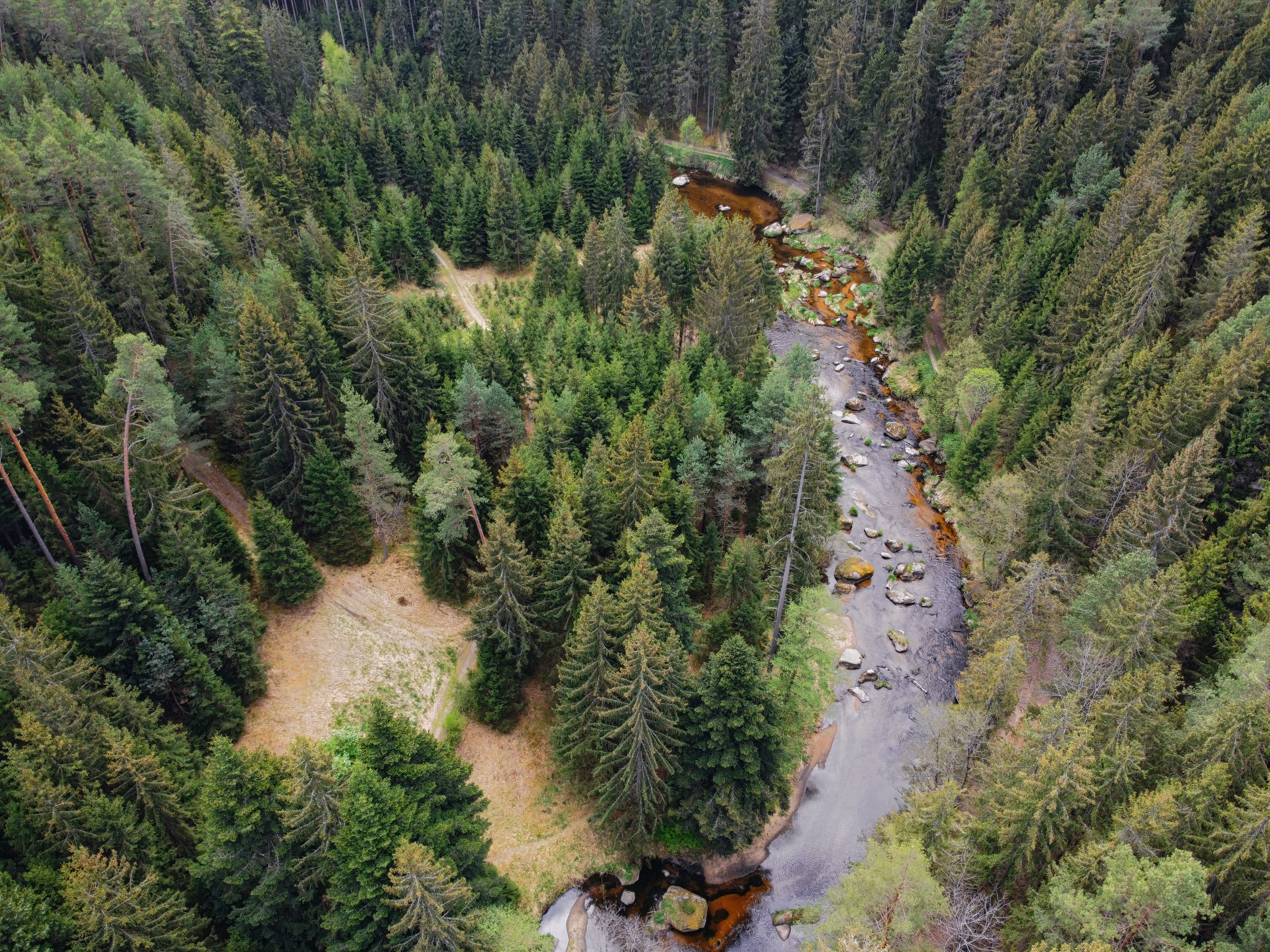 Luftaufnahme eines Flusses, der sich durch einen Wald schlängelt.