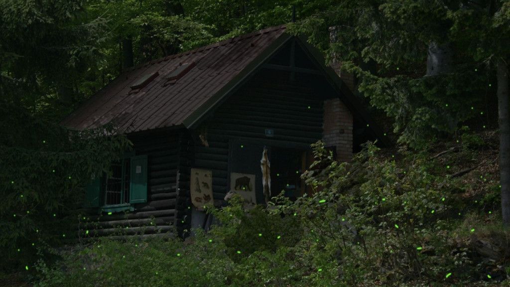 Glühwürmchen
