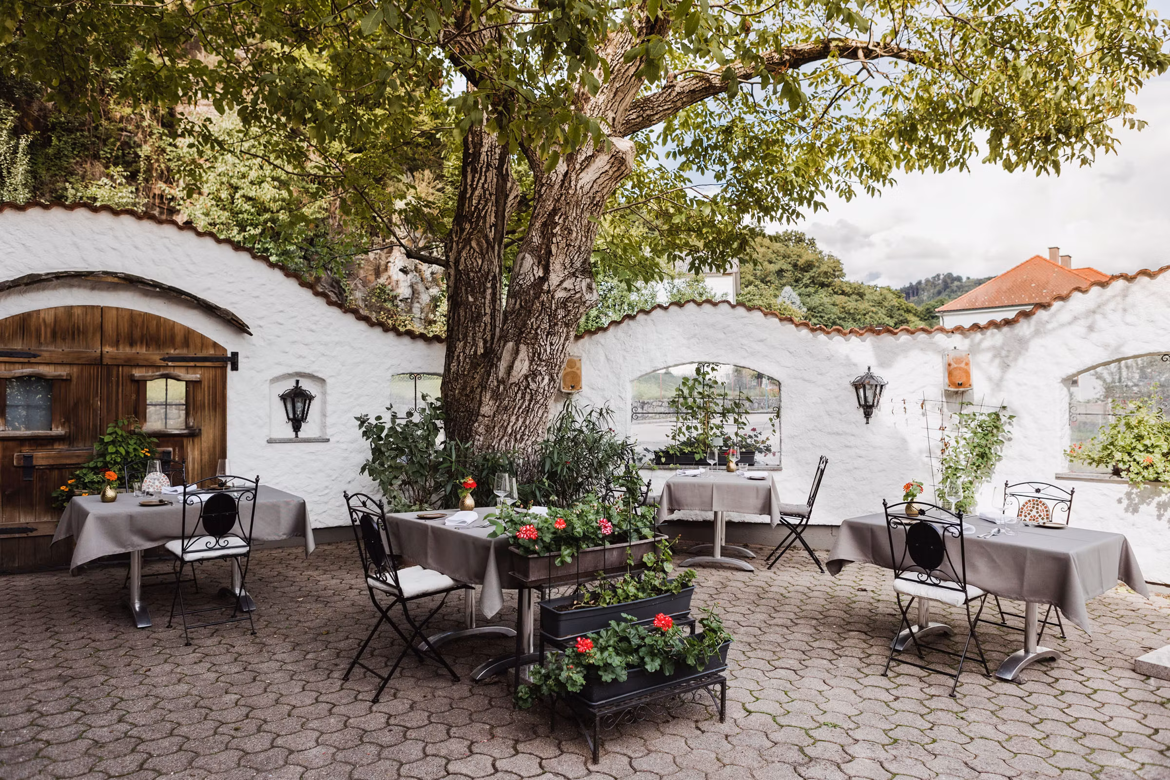 Ein gemütlicher Hofgarten mit Tischen und Stühlen unter einem großen Baum, umgeben von einer weißen Mauer und Pflanzen.