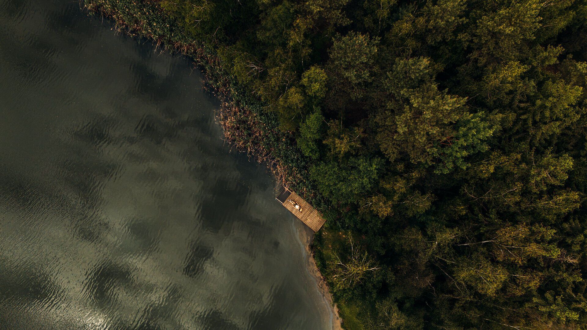 Luftaufnahme eines kleinen Holzstegs am Ufer eines Sees, umgeben von dichtem Wald, im Waldviertel.