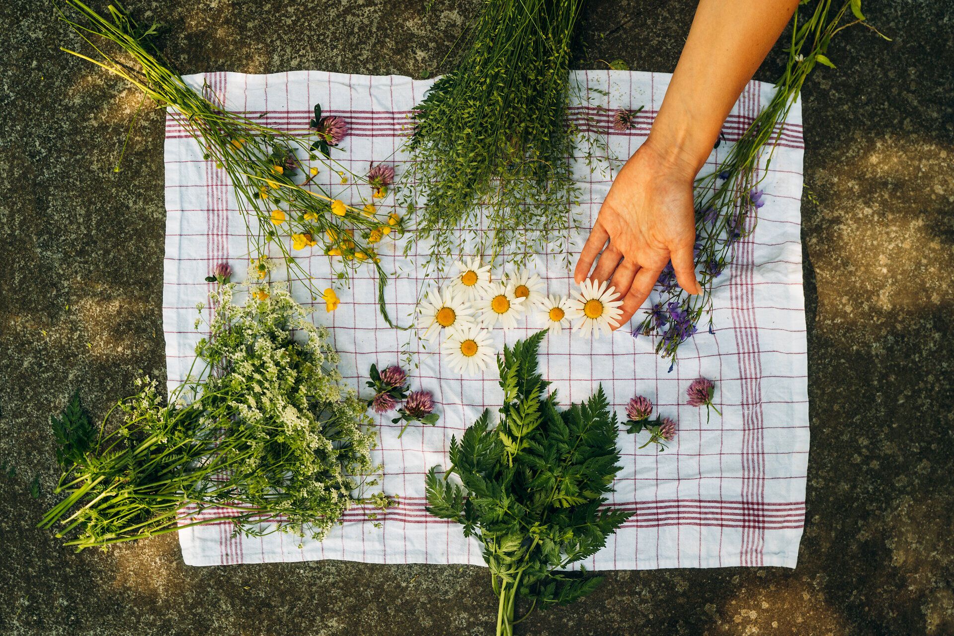 Verschiedene Blumen und Gräser sind mit auf einem Stein und Geschirrtuch drapiert, während eine Hand eine Blume hinlegt