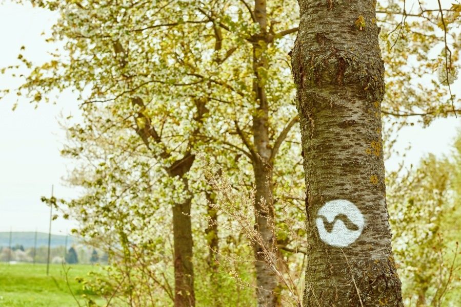 Farbmarkierung entlang vom Weitwanderweg Nibelungengau