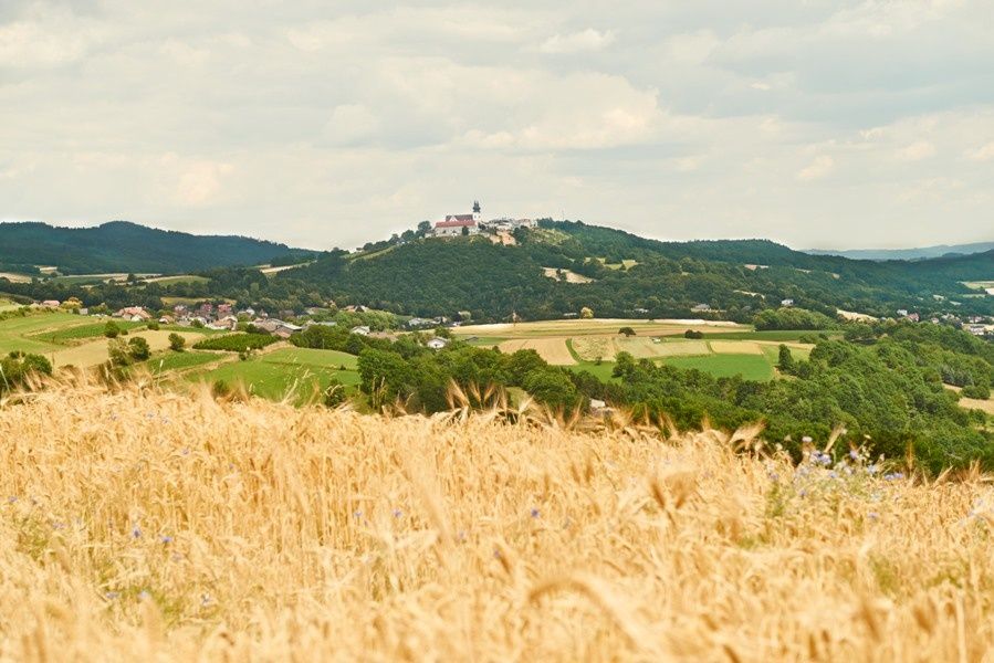 Blick Richtung Maria Taferl 