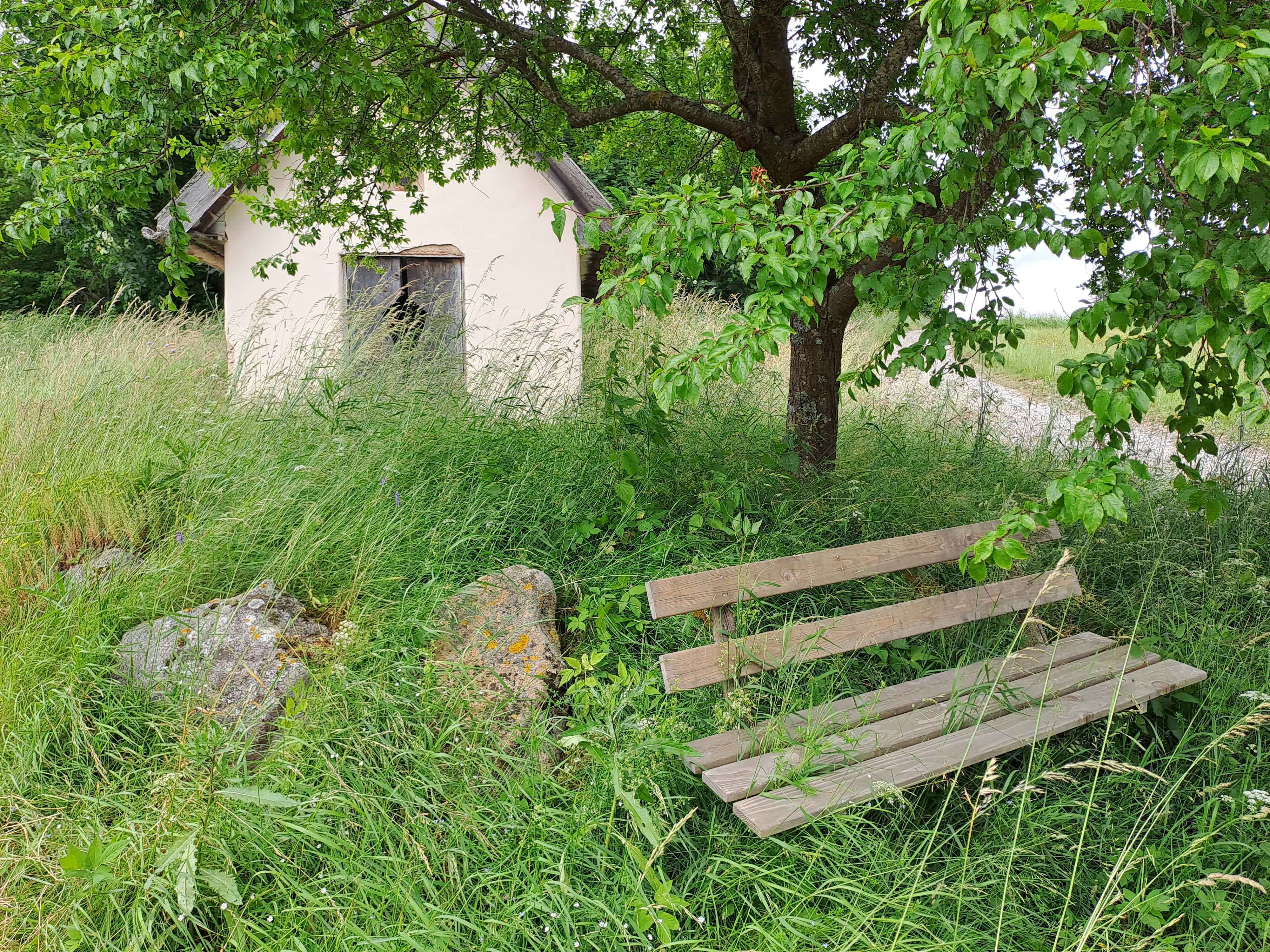 Kleine Kapelle in einer grünen Wiese unter einem Baum mit Bank