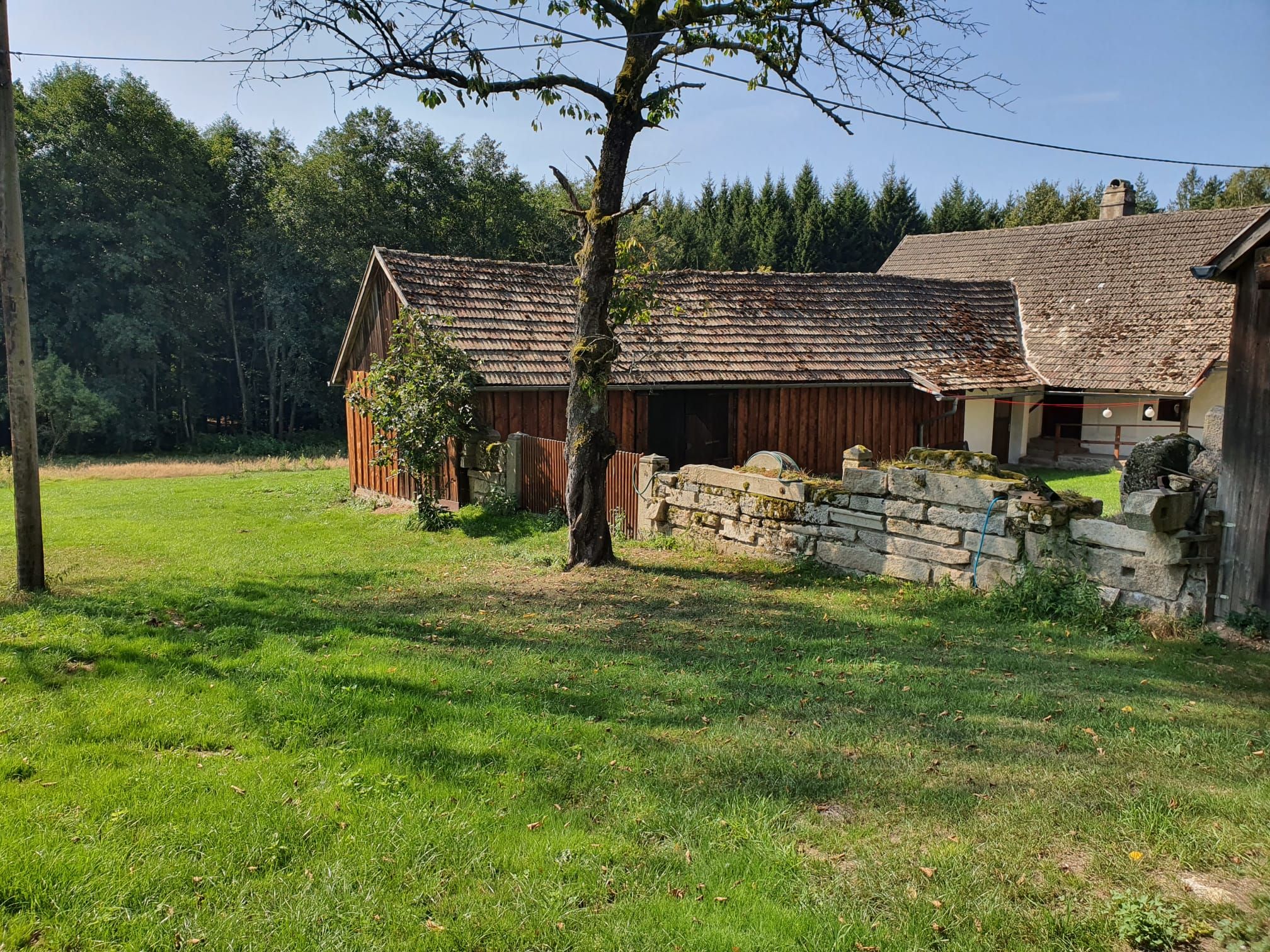 Ein ländliches Anwesen mit Holzhäusern und einer Steinmauer, umgeben von grüner Wiese und Wald im Hintergrund.