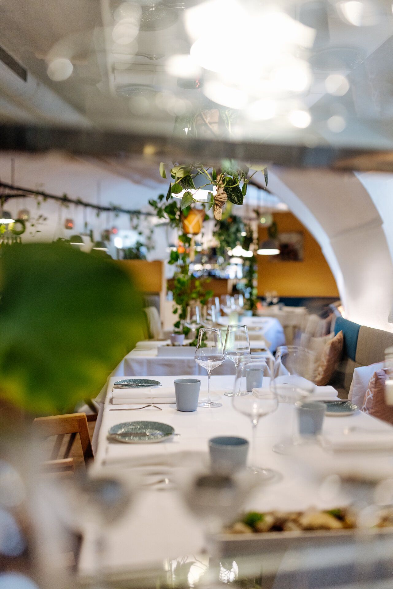 In einem einladenden Restaurant mit sanften Lichtspielen und einer harmonischen Pflanzenwelt genießen Gäste eine entspannte Atmosphäre. Die stilvoll gedeckten Tische laden dazu ein, die kulinarischen Köstlichkeiten der Region zu entdecken und sich von der Gemütlichkeit umarmen zu lassen.