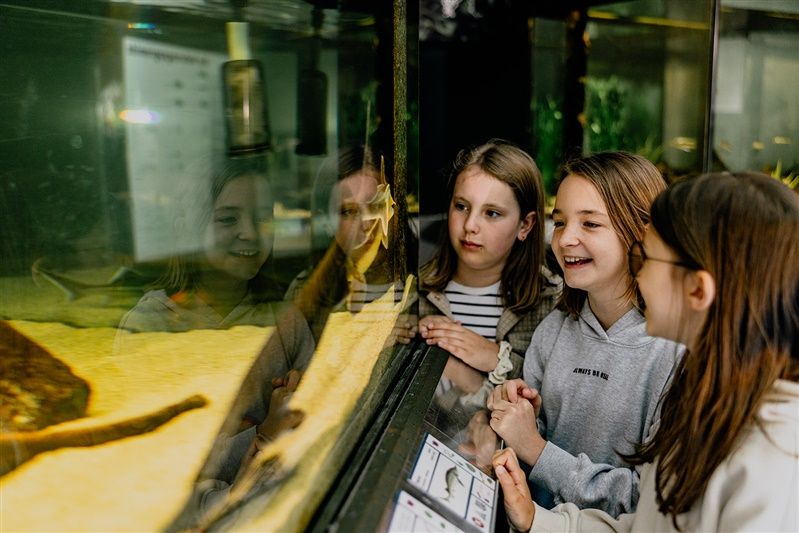 Drei Kinder betrachten ein Aquarium im UnterWasserReich Schrems.