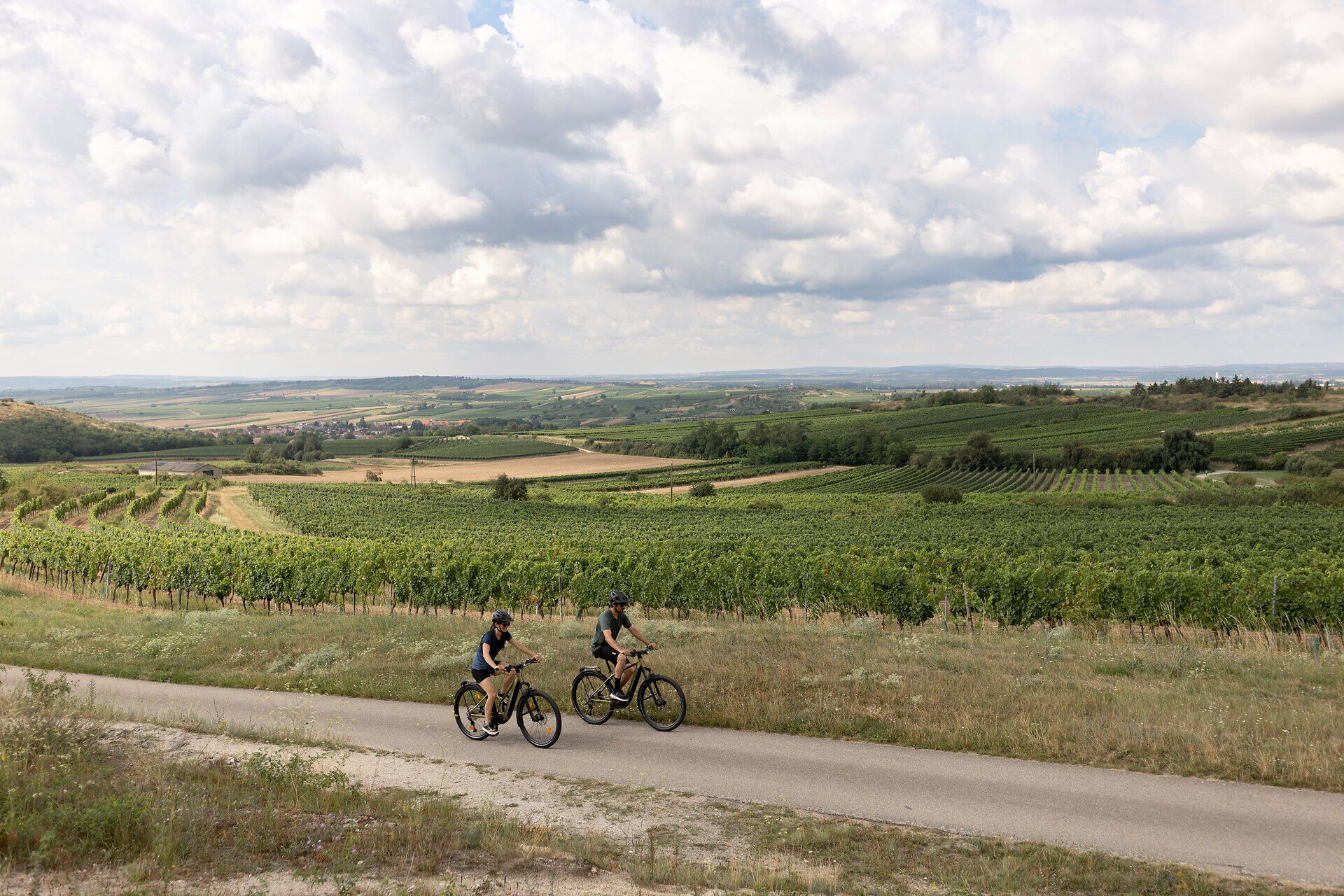 Sanfte Hügel und endlose Weinreben umgeben die Radfahrer, die die frische Luft und die malerische Landschaft genießen. Die Wolken am Himmel spiegeln die entspannte Atmosphäre des Weinviertels wider, während die Sonne sanft auf die grünen Felder scheint.