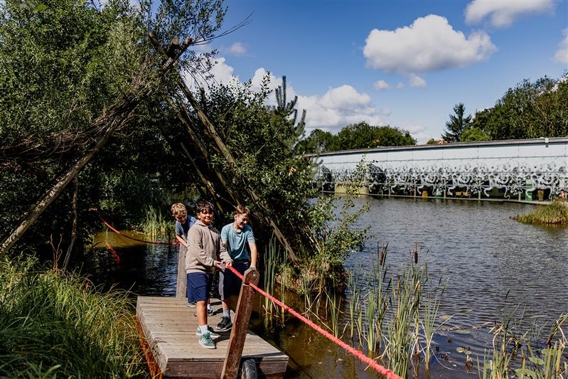 Drei Kinder stehen auf einem Holzsteg über einem Teich im UnterWasserReich Schrems.