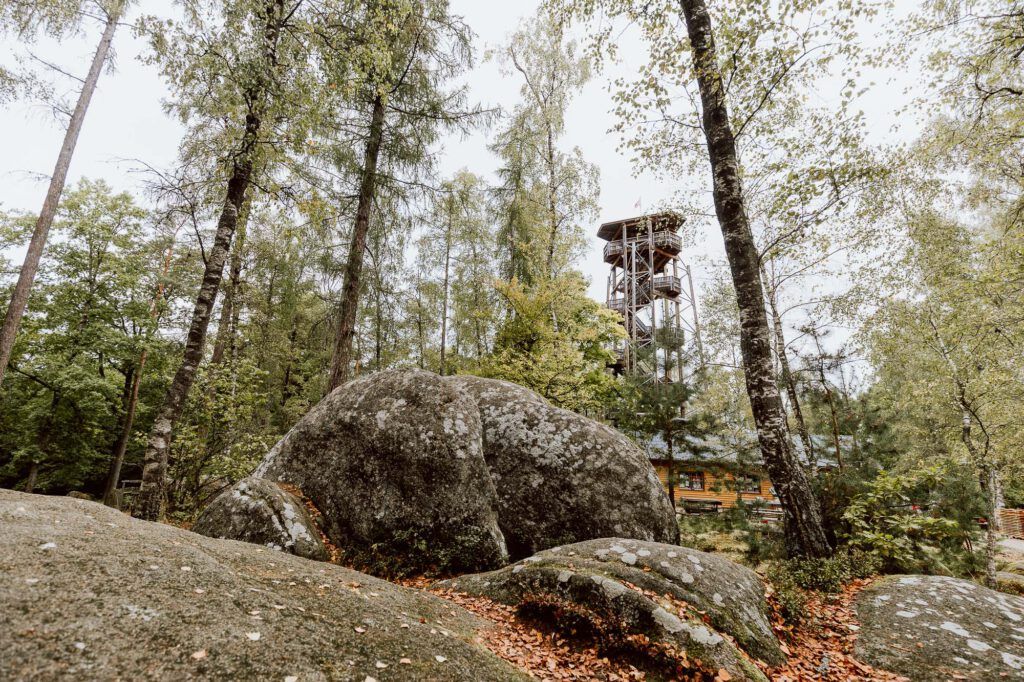 Ein Aussichtsturm ragt hinter großen Felsen und Bäumen in einem Wald hervor.