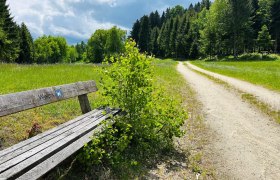 Weg bei Weitra, © Unknown