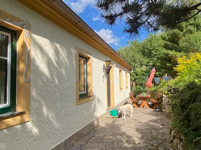 2026 wurden neue Fenster eingebaut