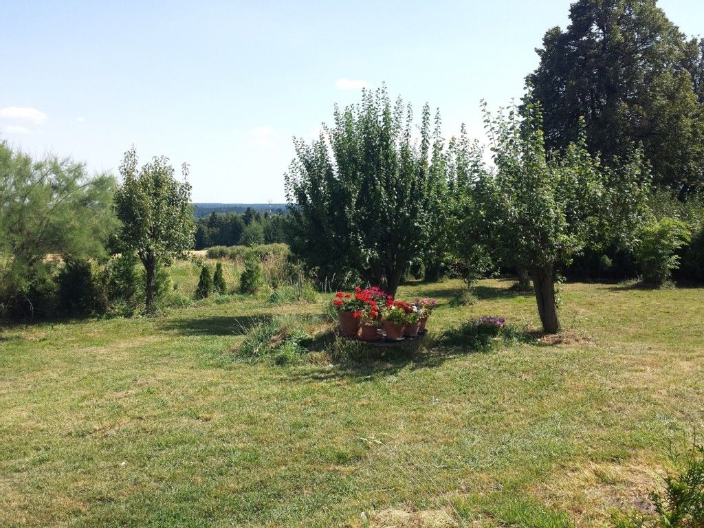 Ein grüner Garten mit Bäumen und blühenden Blumen in Töpfen auf einer Wiese.