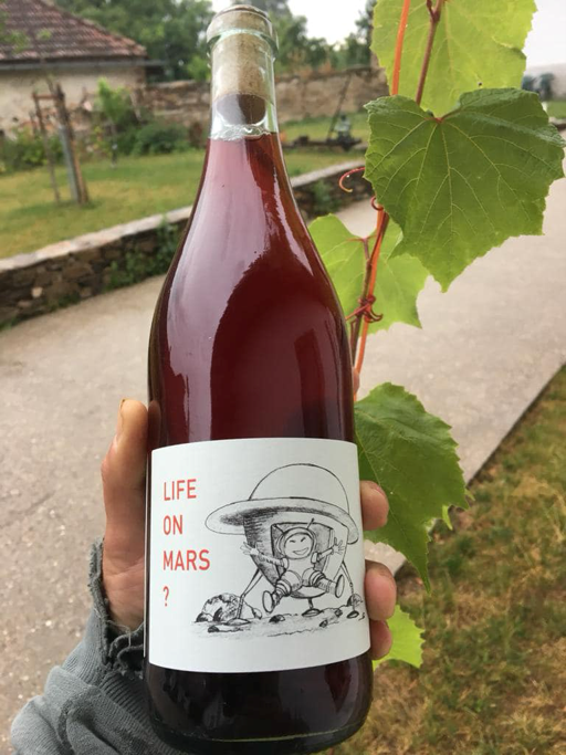 Eine Hand hält eine Weinflasche mit einem Etikett, das "Life on Mars?" zeigt. Im Hintergrund sind Blätter und ein Garten zu sehen.