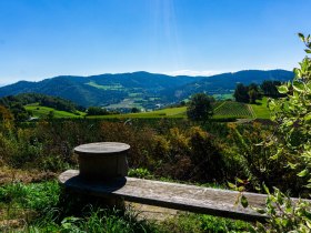 Rastplatz kurz vor Bergern, © Unknown
