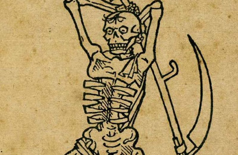 Zeichnung eines Skeletts