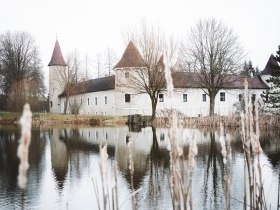 In der winterlichen Stille spiegelt sich das majest&auml;tische Schloss Waldreichs im ruhigen Wasser des Teiches. Umgeben von kahlen B&auml;umen und sanften H&uuml;geln l&auml;dt die frostige Landschaft zu einem besinnlichen Spaziergang ein, w&auml;hrend die frische Luft die Sinne belebt.
