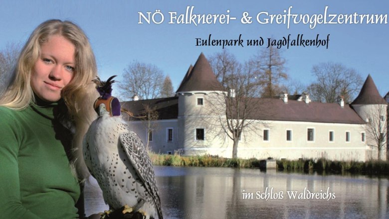 NÖ Falknerei- & Greifvogelzentrum - Schloss Waldreichs, © Greifvogelzentrum Waldreichs