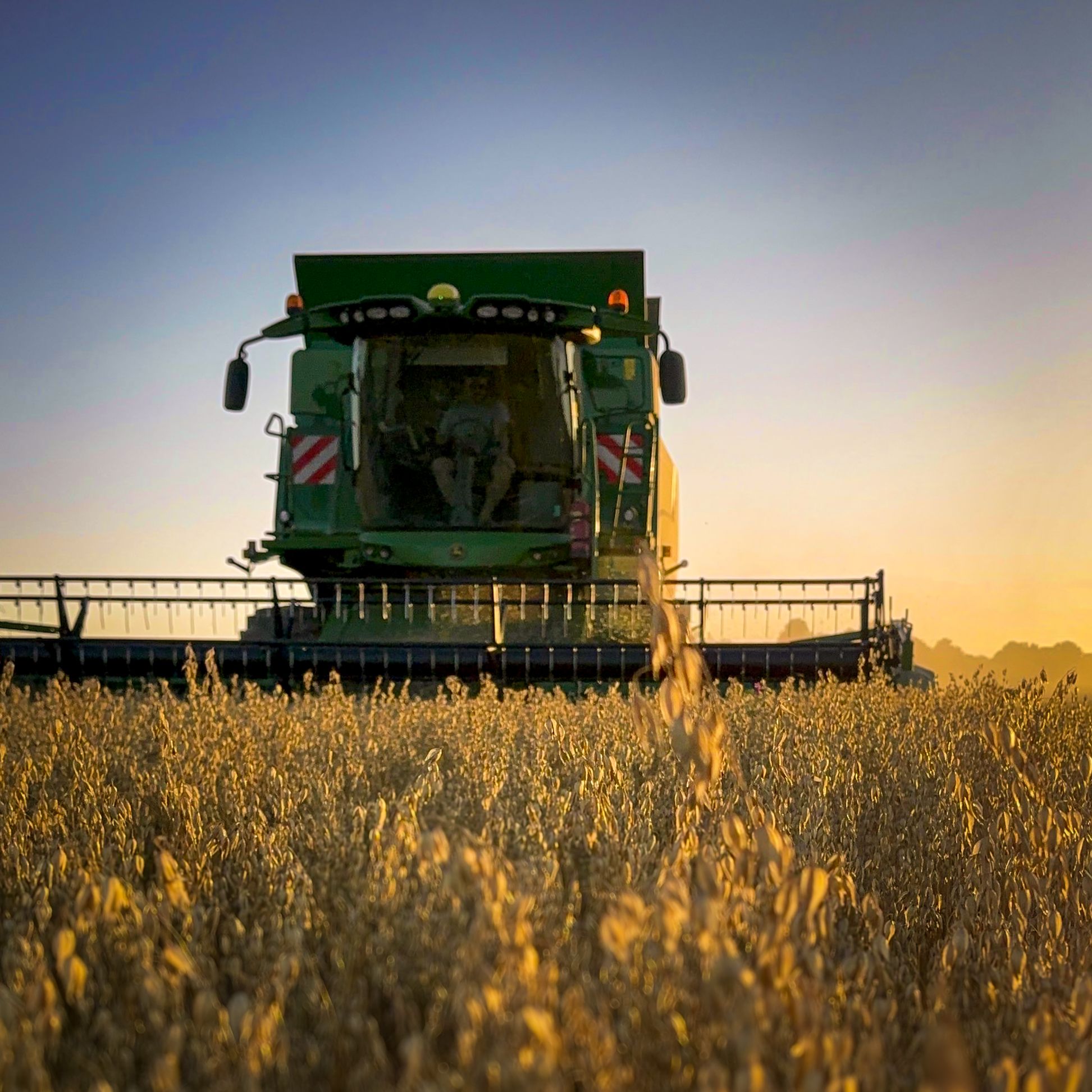 Ein Mähdrescher erntet ein Feld bei Sonnenuntergang.